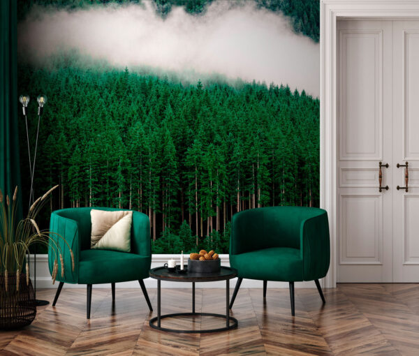 Wall murals Group of trees in a forest Wall murals Group of trees in a forest