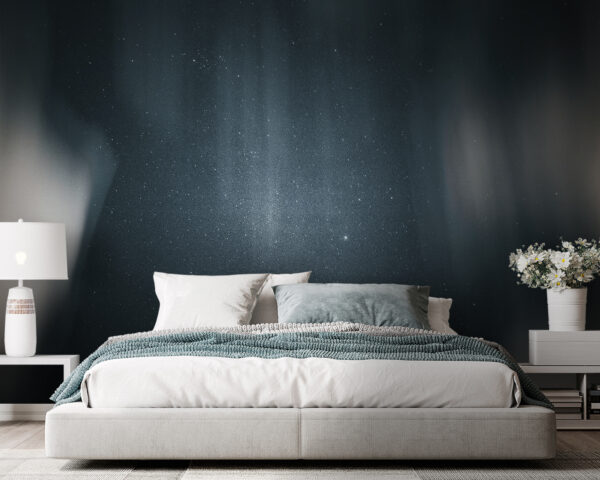 Wall murals Dark sky with stars Wall murals Dark sky with stars