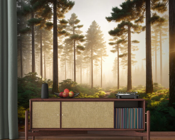 Sunrise over tranquil forest path Wall murals Sunrise over tranquil forest path