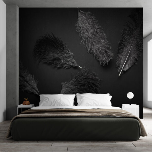 Black feather on a black surface Wall murals Black feather on a black surface