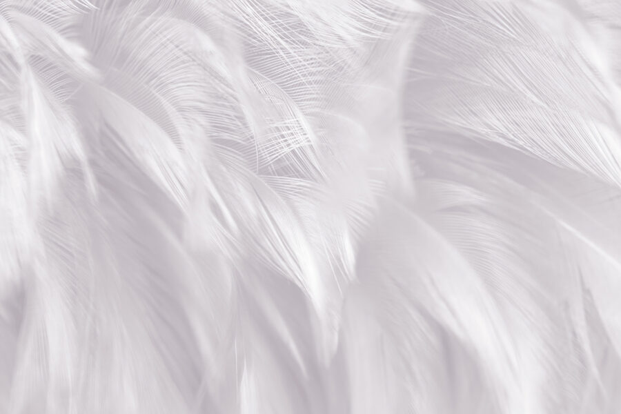u72319p