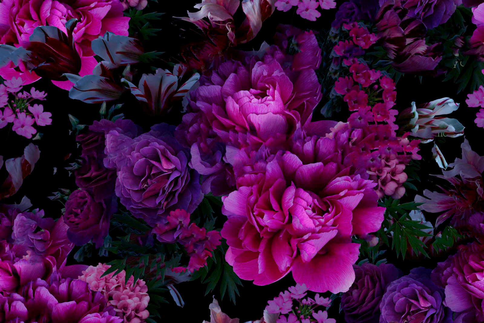 u72236p u72236p