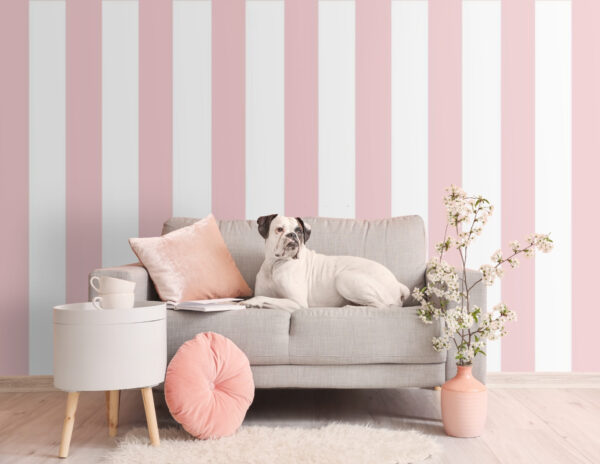 Pink and white striped pattern Wall murals Pink and white striped pattern
