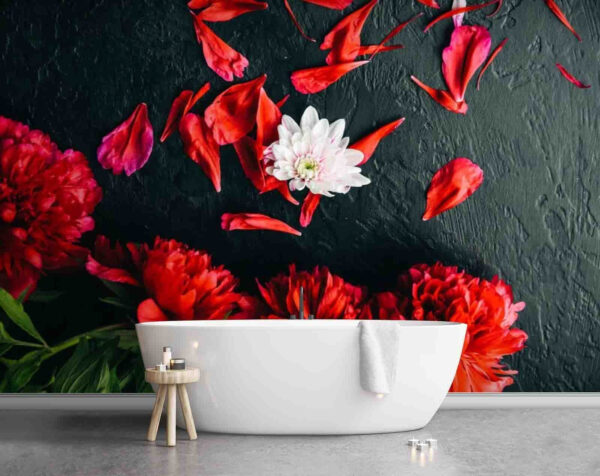 Wall murals Group of red flowers with petals on a black surface Wall murals Group of red flowers with petals on a black surface