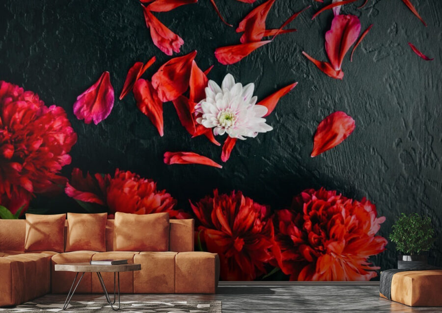 u71471pig1 u71471pig1