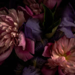 u71468p