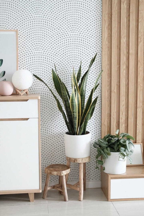 Wall murals White background with blue dots Wall murals White background with blue dots