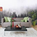 Wall murals Forest of trees with fog