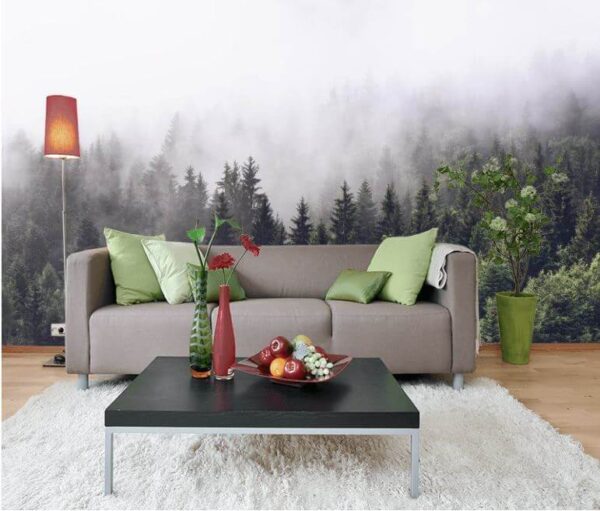 Wall murals Forest of trees with fog Wall murals Forest of trees with fog