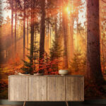 Wall murals Sunlight filtering through serene forest.