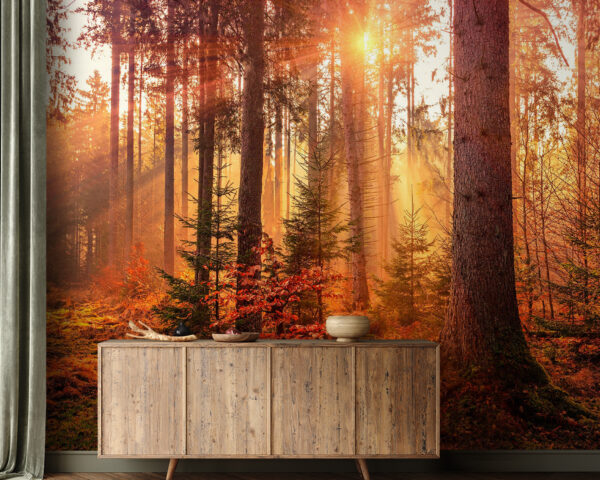 Sunlight filtering through serene forest Wall murals Sunlight filtering through serene forest