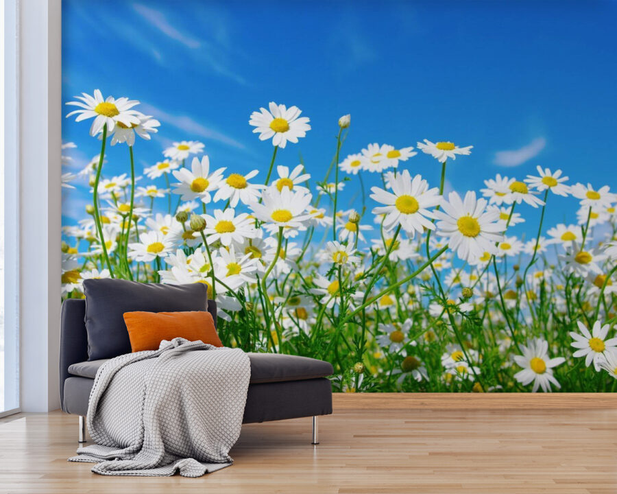 u62523pig25 u62523pig25