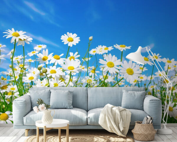 Wall murals Field of white and yellow flowers Wall murals Field of white and yellow flowers