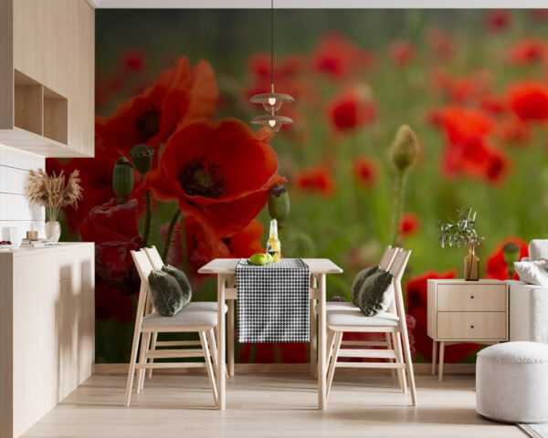 Wall murals Field of red flowers Wall murals Field of red flowers