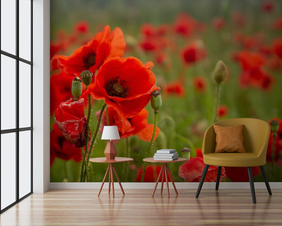 u61697pig3 u61697pig3