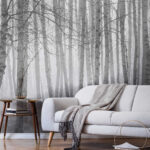 Wall murals Group of trees in a foggy forest
