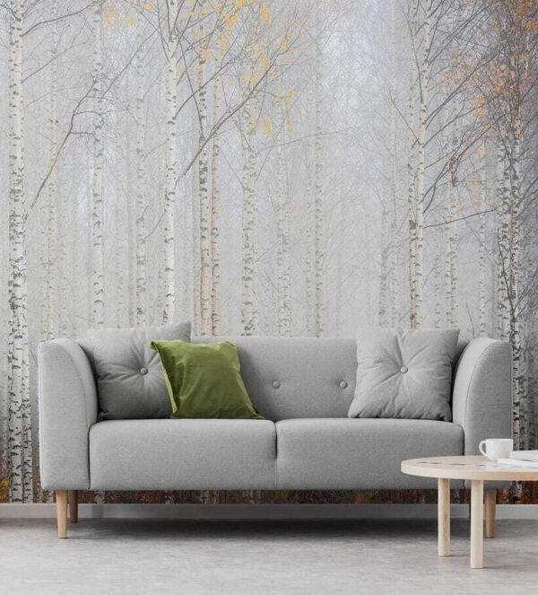 Group of trees in a foggy forest Wall murals Group of trees in a foggy forest