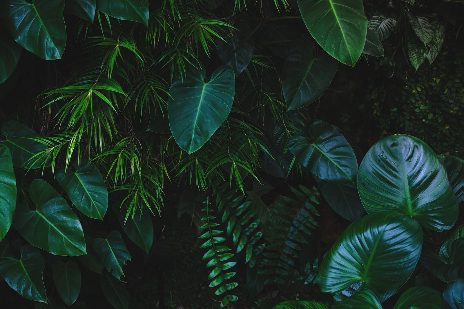 u58623p u58623p