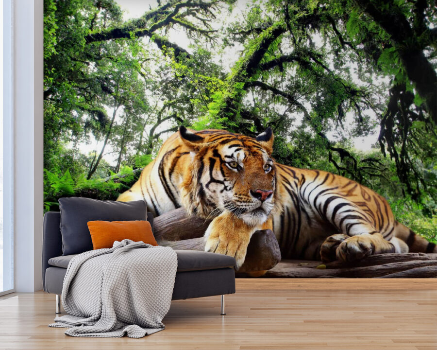 u57805pig25 u57805pig25