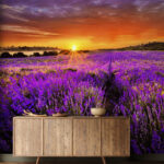 Wall murals Bright sun in the sky