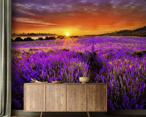 Bright sun in the sky Wall murals Bright sun in the sky