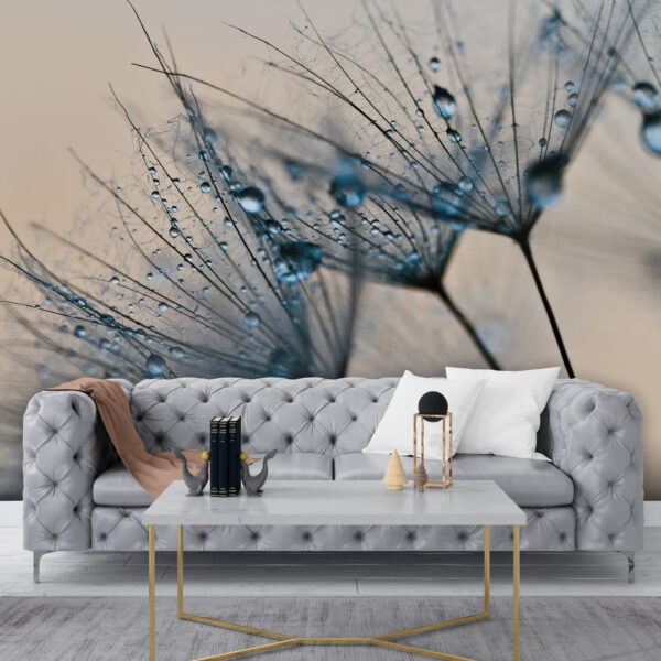 Wall murals Dewdrops on dandelion seeds