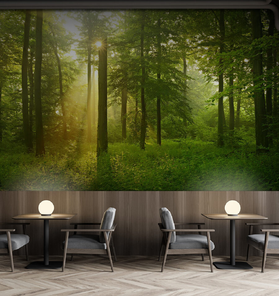 u57295piz137m u57295piz137m