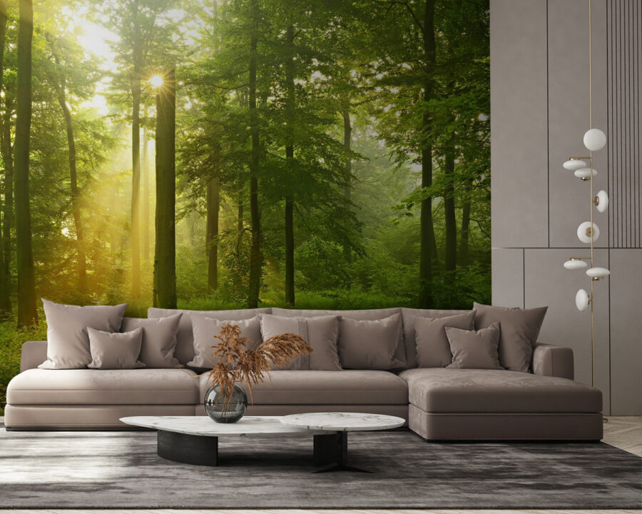 u57295pig58 u57295pig58