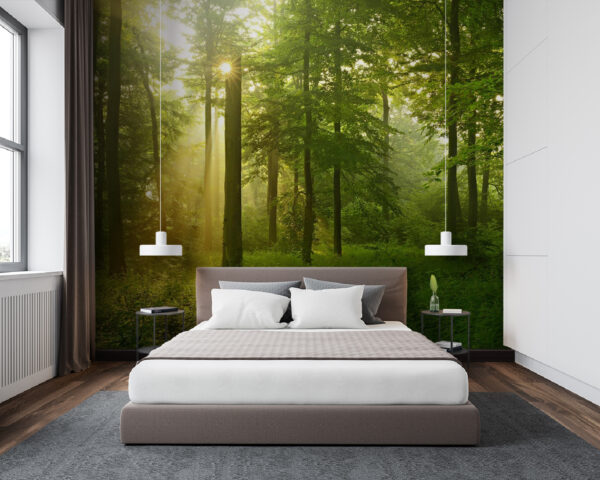 Sunlight streams through lush forest Wall murals Sunlight streams through lush forest