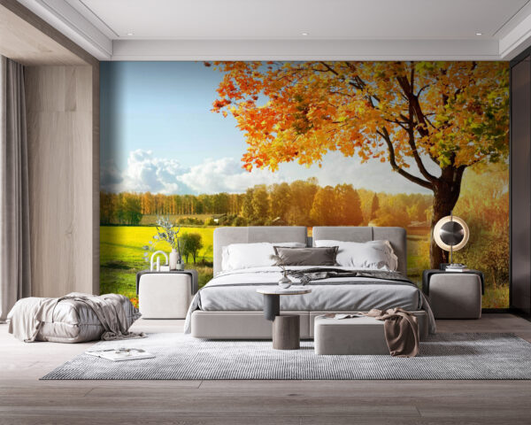 Wall murals Tree with orange leaves in a field Wall murals Tree with orange leaves in a field