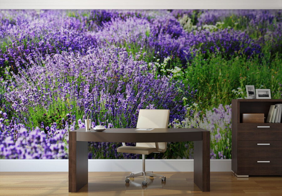 u57293piw1 u57293piw1