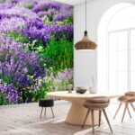 Wall murals Field of purple flowers