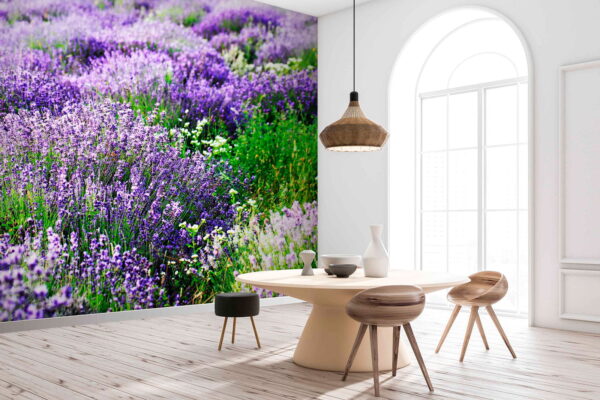 Wall murals Field of purple flowers Wall murals Field of purple flowers