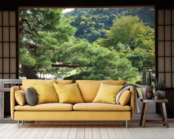 Wall murals View of a forest from a room Wall murals View of a forest from a room