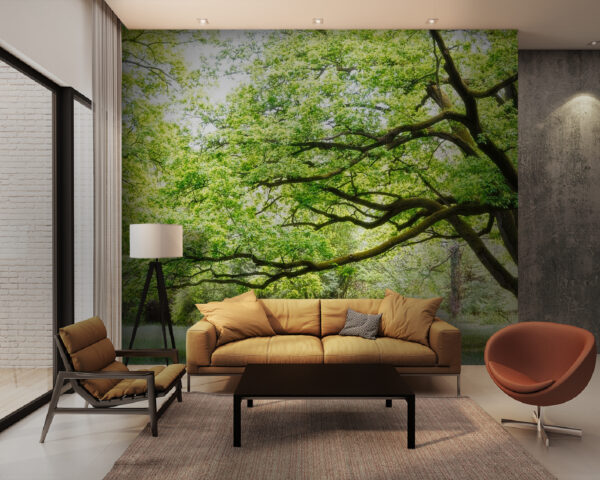 Wall murals Tree with green leaves Wall murals Tree with green leaves