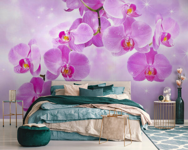 Wall murals Delicate orchids in soft hues Wall murals Delicate orchids in soft hues