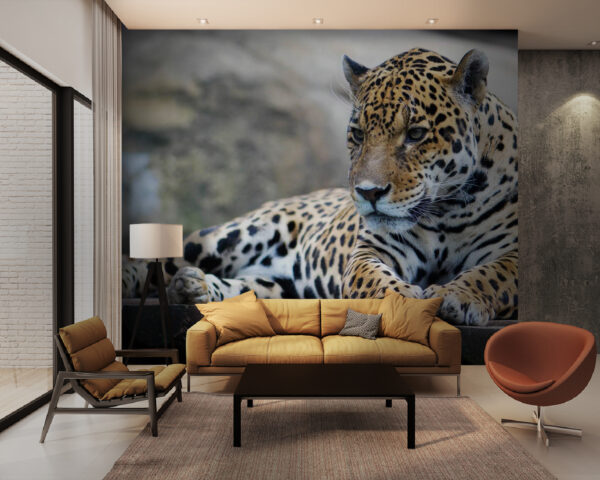 Wall murals Leopard lying on a wood surface Wall murals Leopard lying on a wood surface