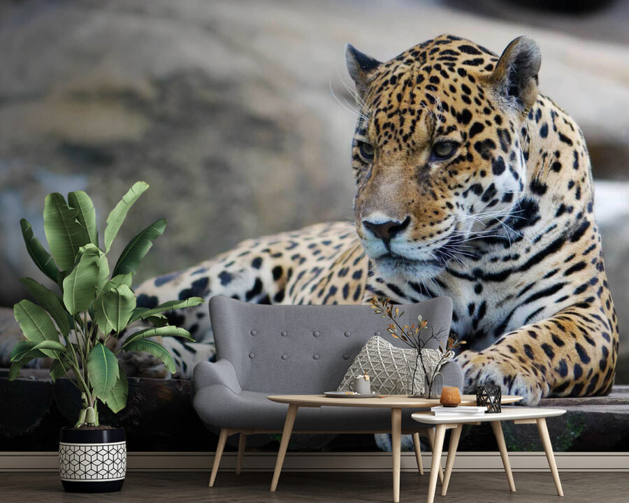 u55313pig4 u55313pig4