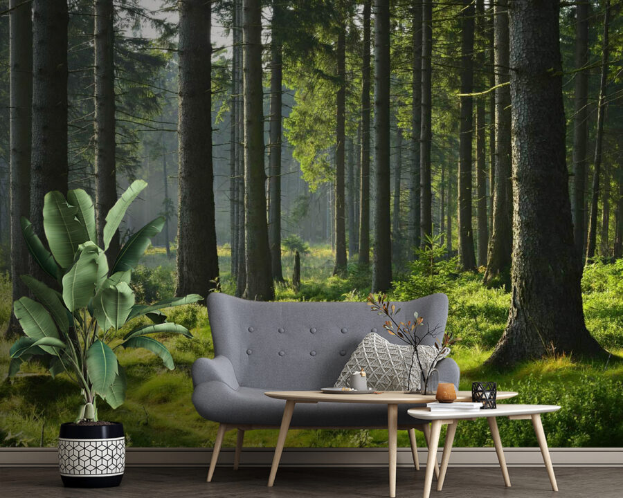 u55302pig4 u55302pig4