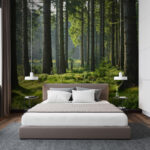 Wall murals Forest with tall trees and grass