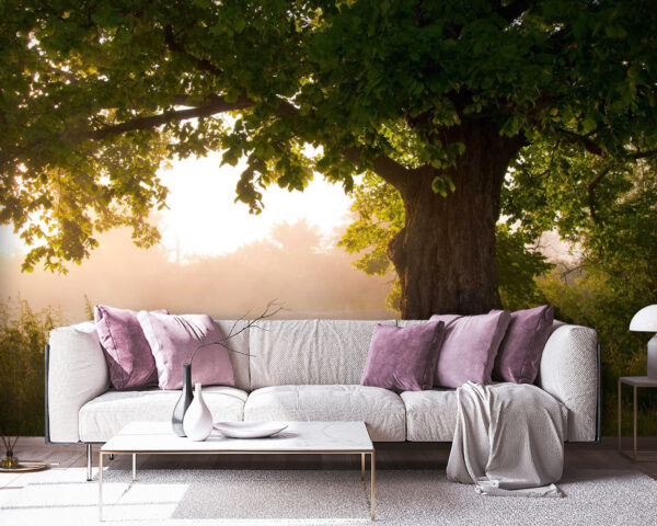 Wall murals Tree with a foggy river Wall murals Tree with a foggy river