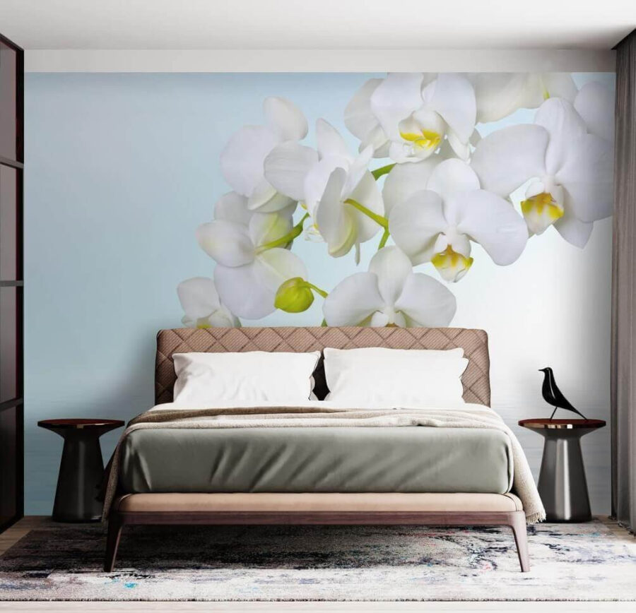 u54982pib2 u54982pib2