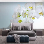 Wall murals White orchids over water