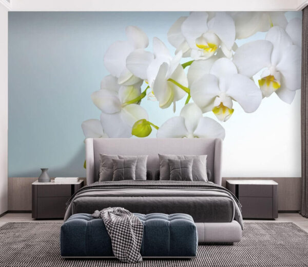 Wall murals White orchids over water Wall murals White orchids over water