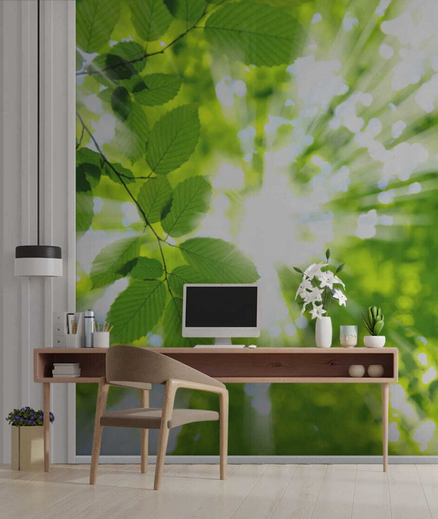 u54862piw1 u54862piw1