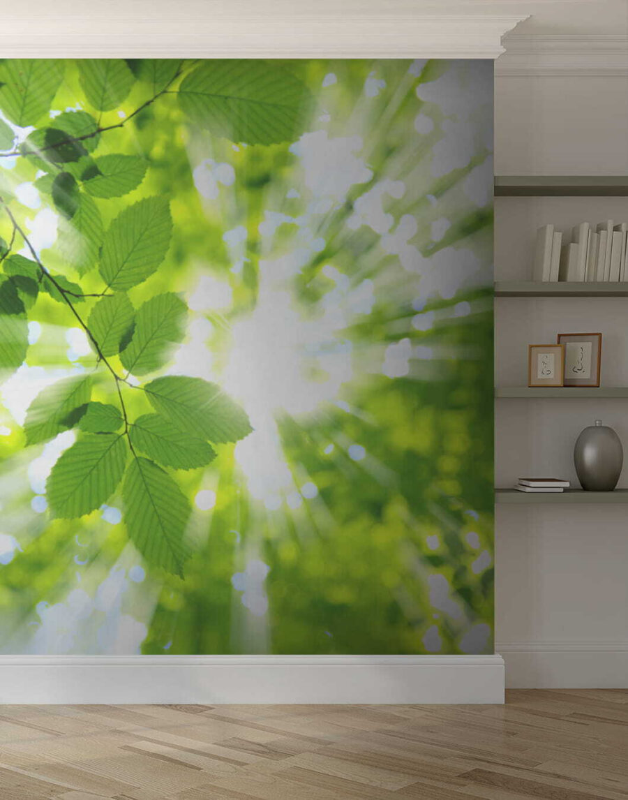 u54862pih2 u54862pih2