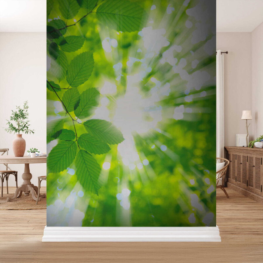 u54862pih1 u54862pih1