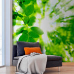 Wall murals Sunlight streaming through green leaves.