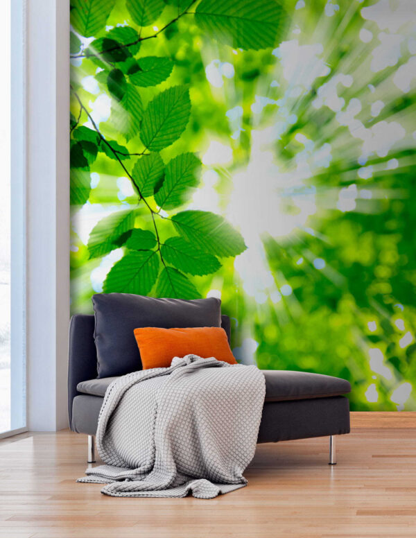 Sunlight streaming through green leaves Wall murals Sunlight streaming through green leaves
