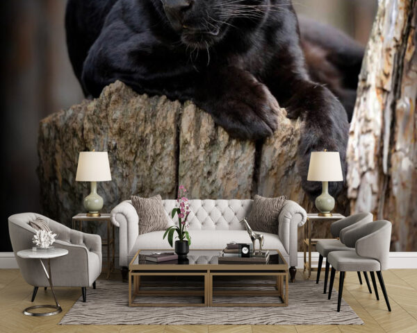 Wall murals Black panther lying on a tree stump Wall murals Black panther lying on a tree stump